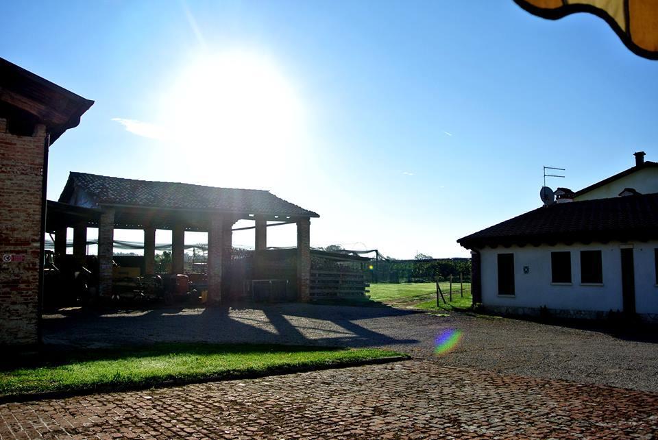Agriturismo Sartori Terenzio Куинто-Вичентино Экстерьер фото